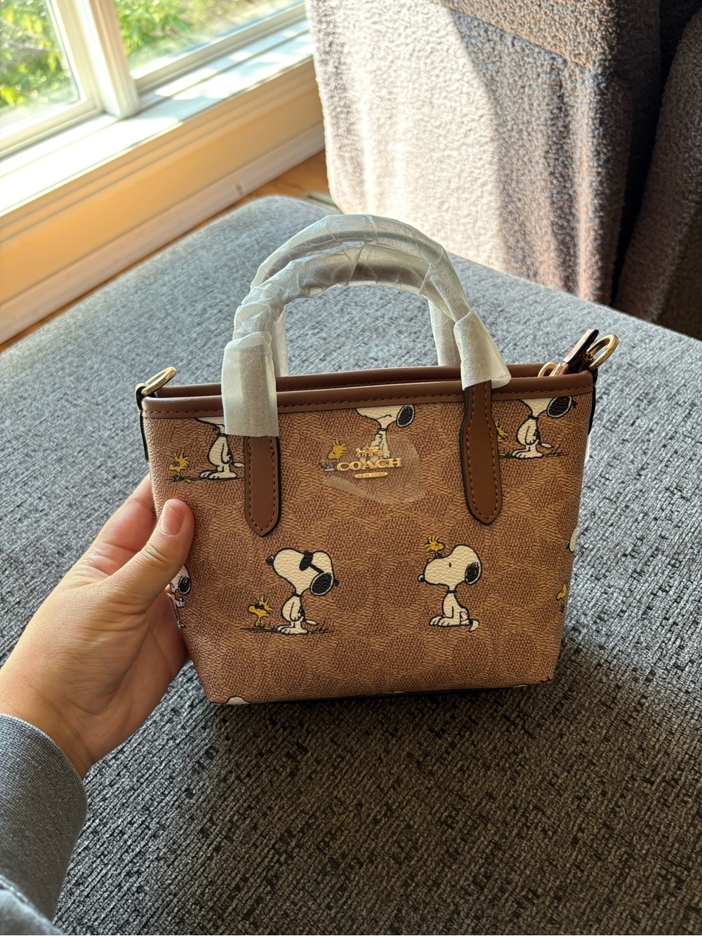 Coach X Peanuts City Mini Tote Bag Ft Snoopy